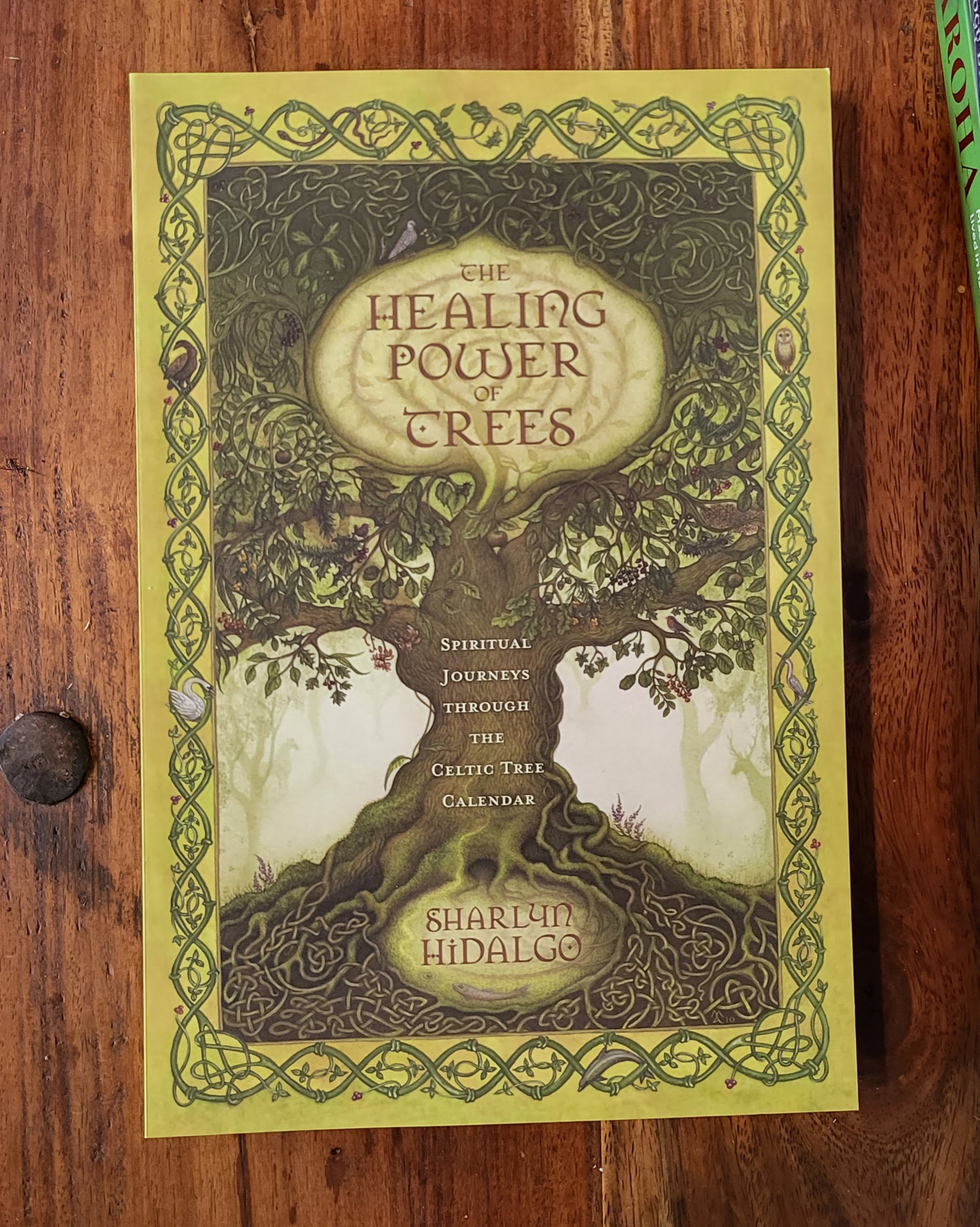 Healing Power of Trees