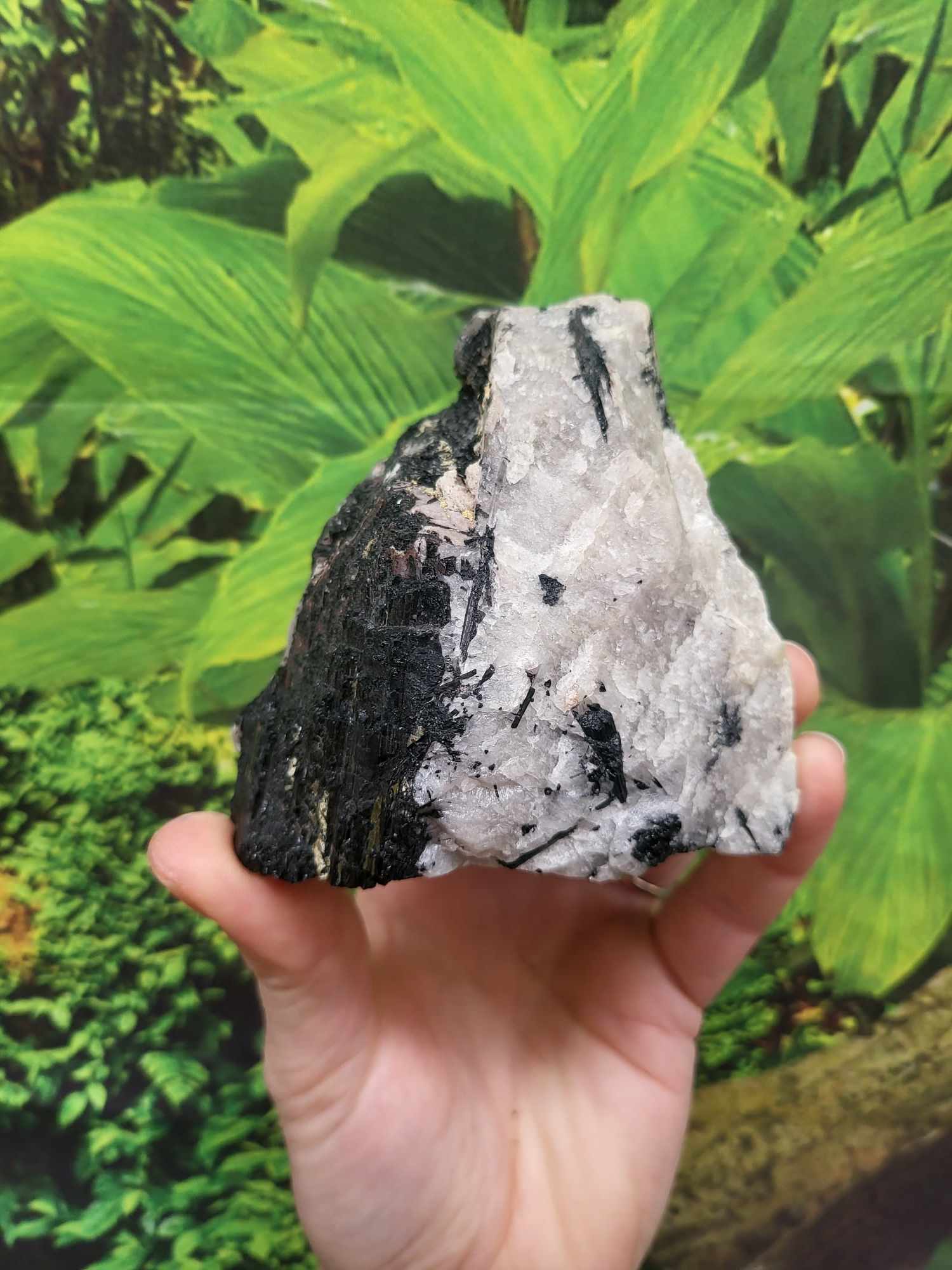 Raw Tourmalated Quartz