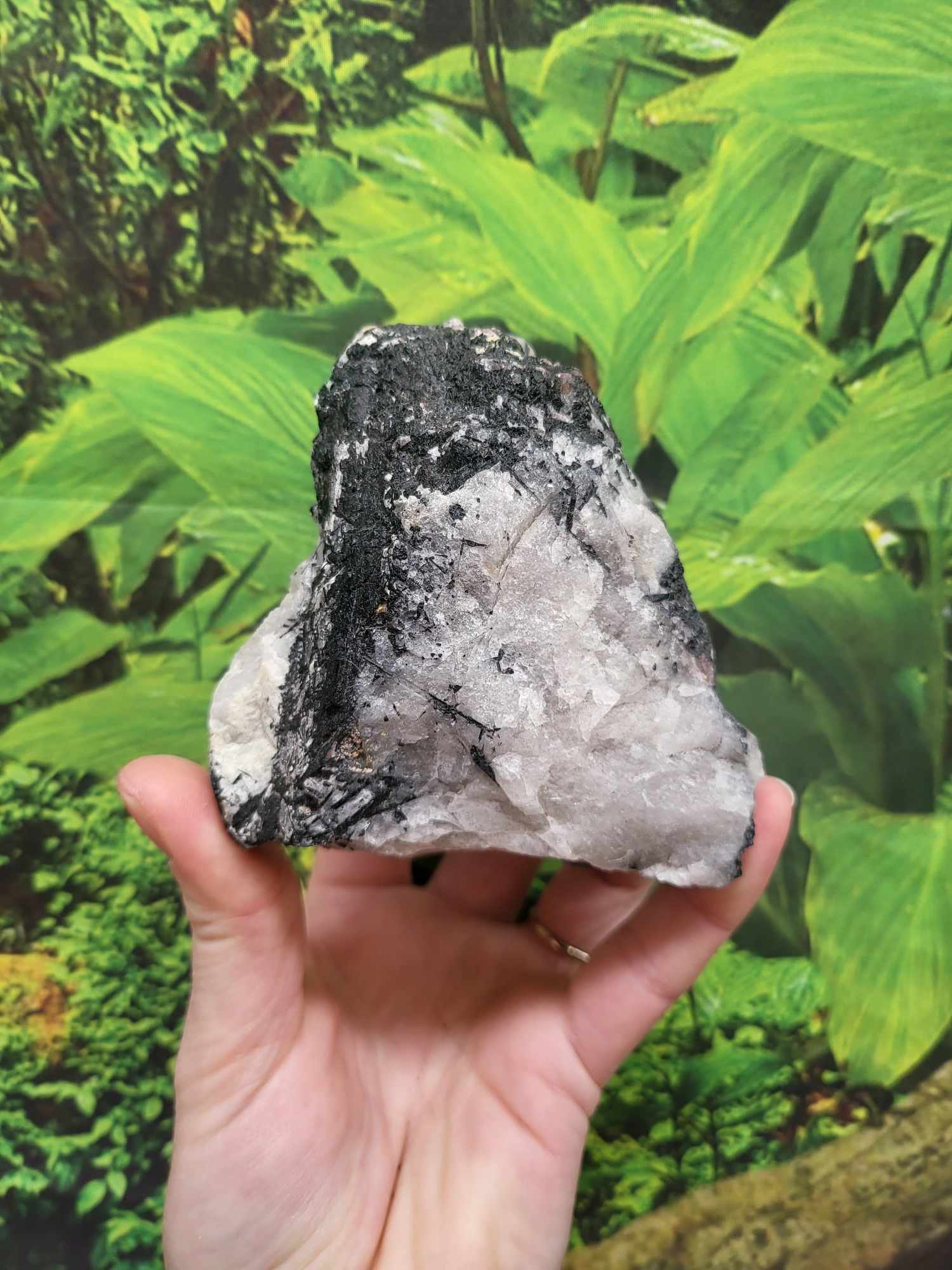 Raw Tourmalated Quartz - Image 2