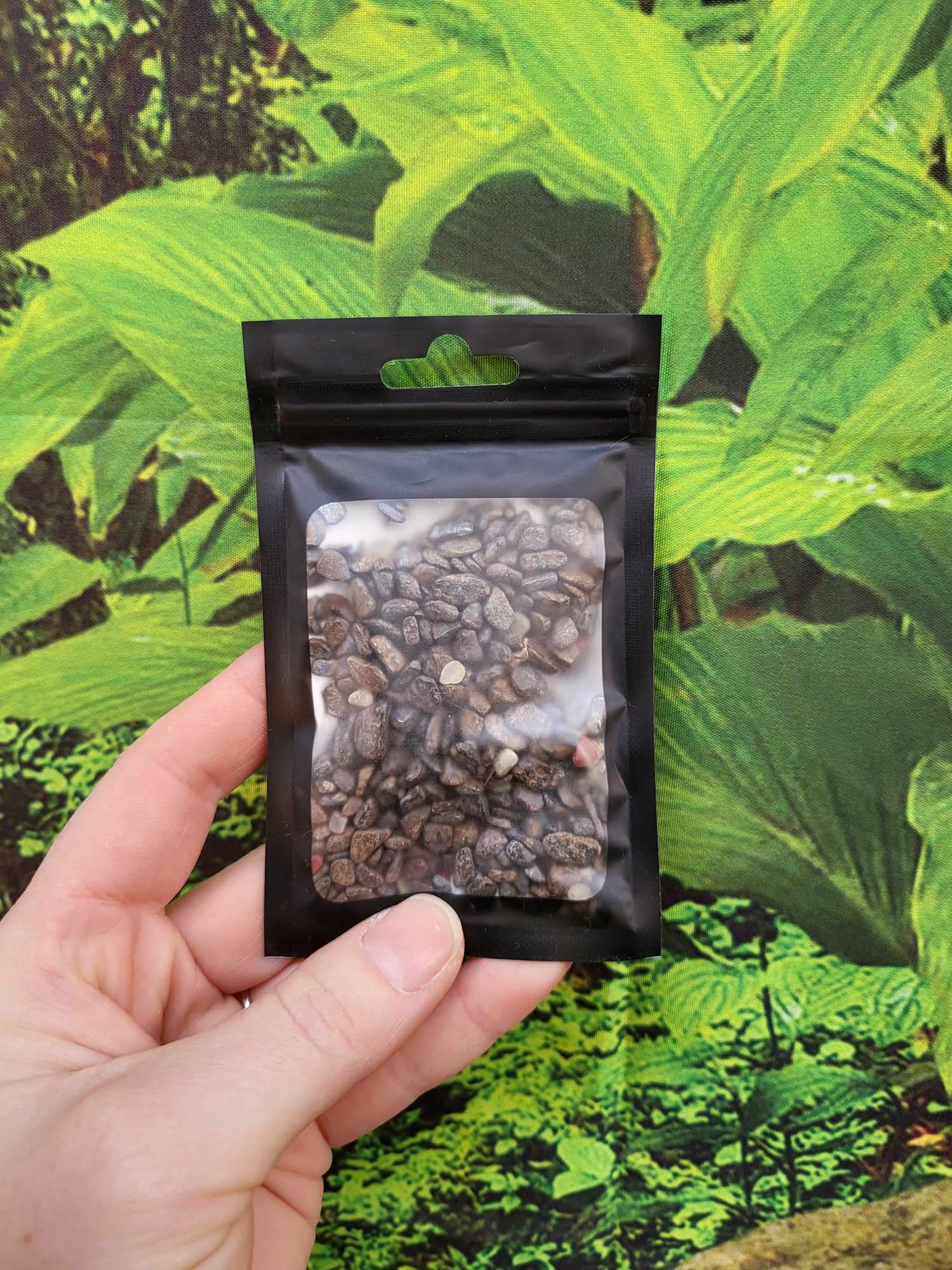 Bronzite Crystal Chips 50gm