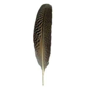 Earth Inspired Smudging Feather