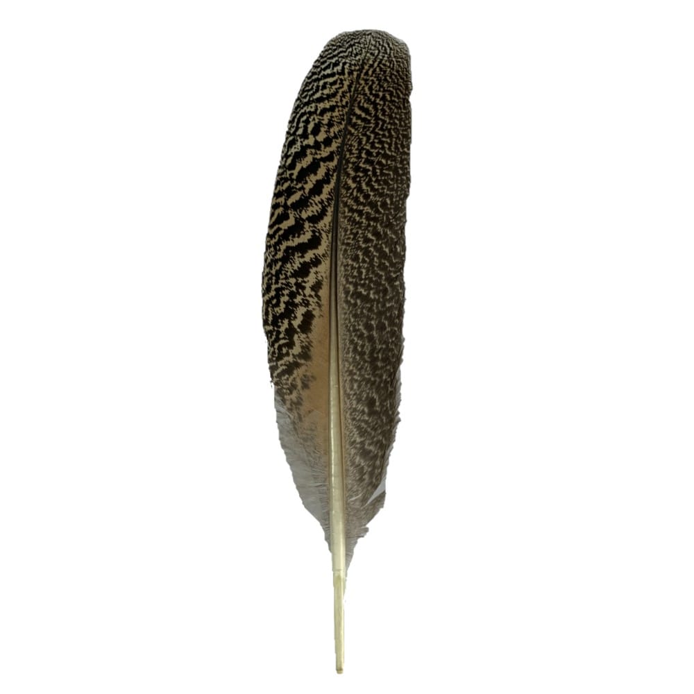 Earth Inspired Smudging Feather