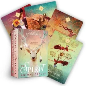 Oracle Cards