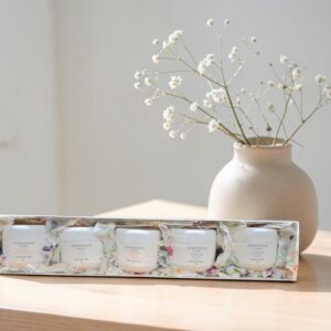 SCENTUOUS Body Butter Discovery Set - 5 x 50g Body Butters - All Scents