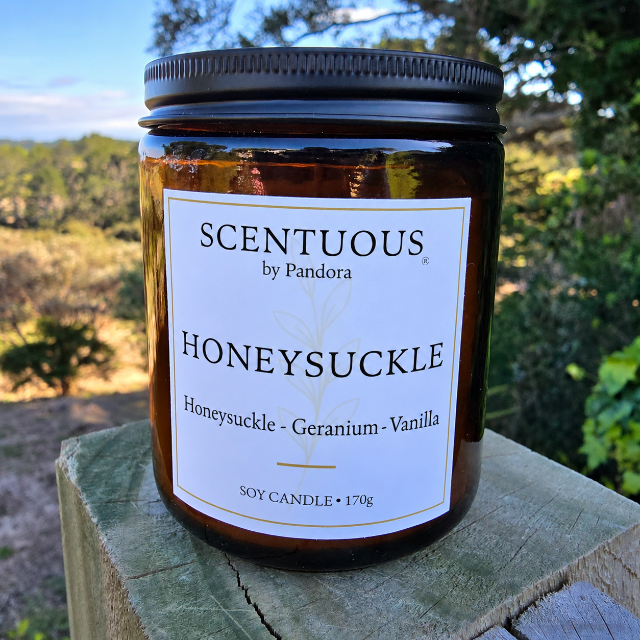 HONEYSUCKLE Soy Candle 170g