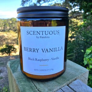 BERRY VANILLA Soy Candle 170g