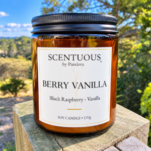 BERRY VANILLA Soy Candle 170g